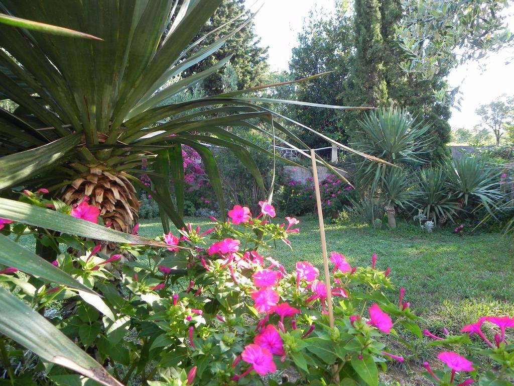 סלצה Apartments Katalenic מראה חיצוני תמונה