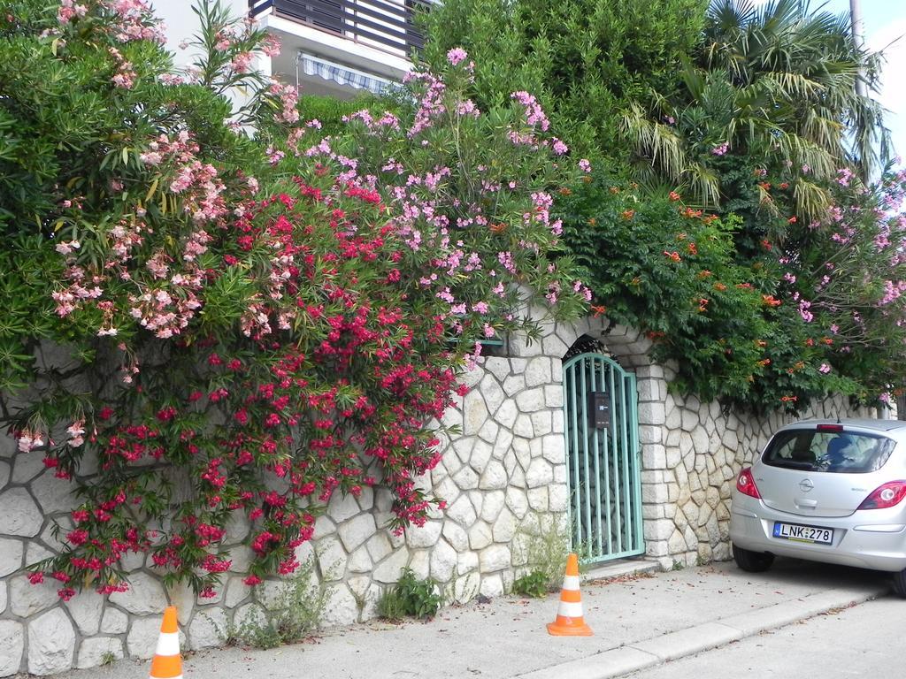 סלצה Apartments Katalenic מראה חיצוני תמונה
