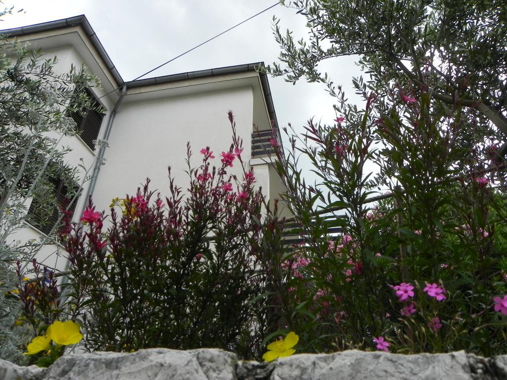 סלצה Apartments Katalenic מראה חיצוני תמונה