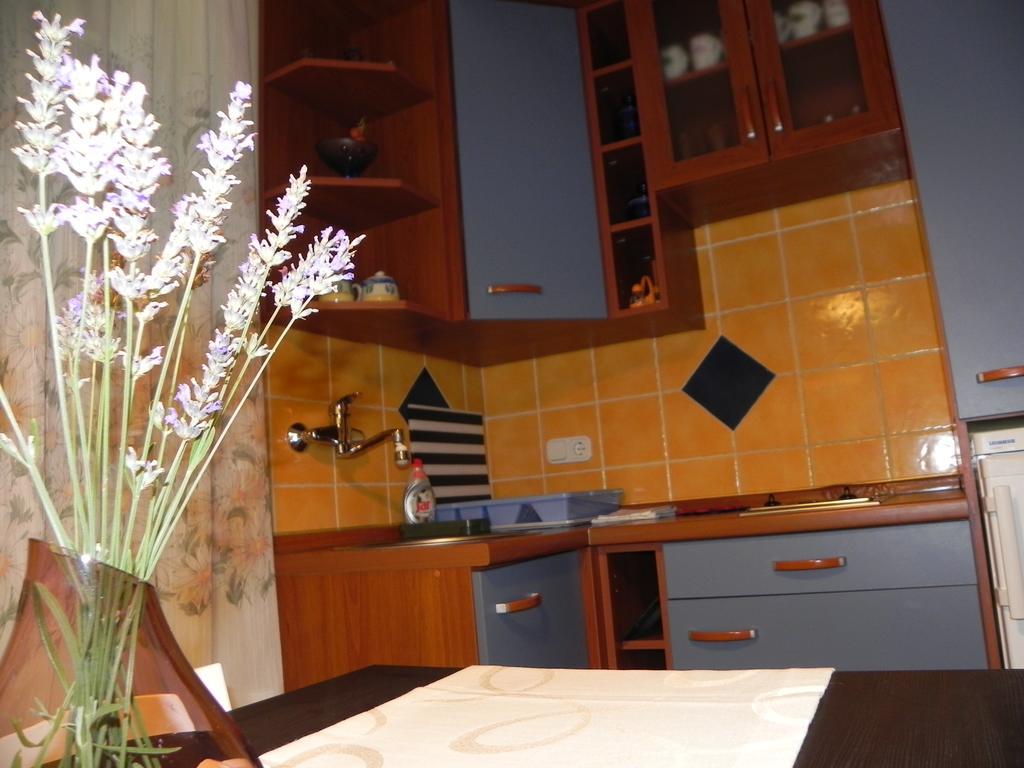סלצה Apartments Katalenic מראה חיצוני תמונה